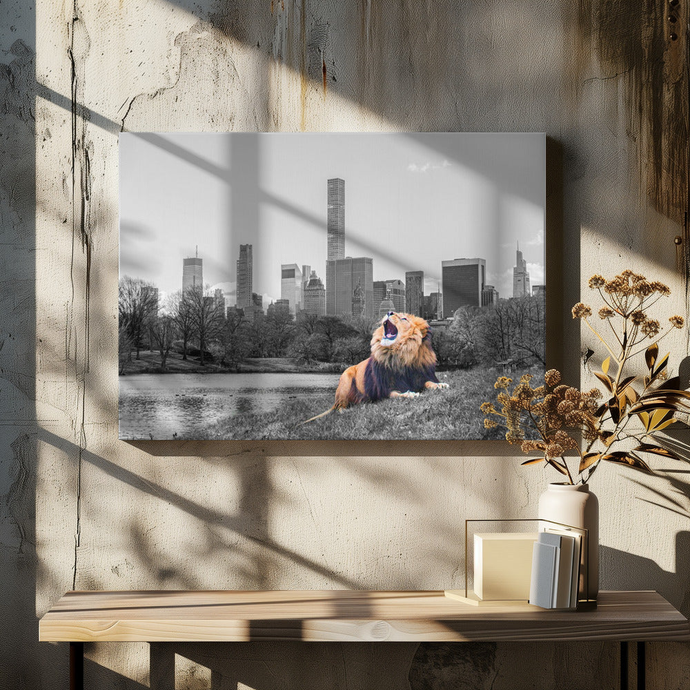 New York Roar