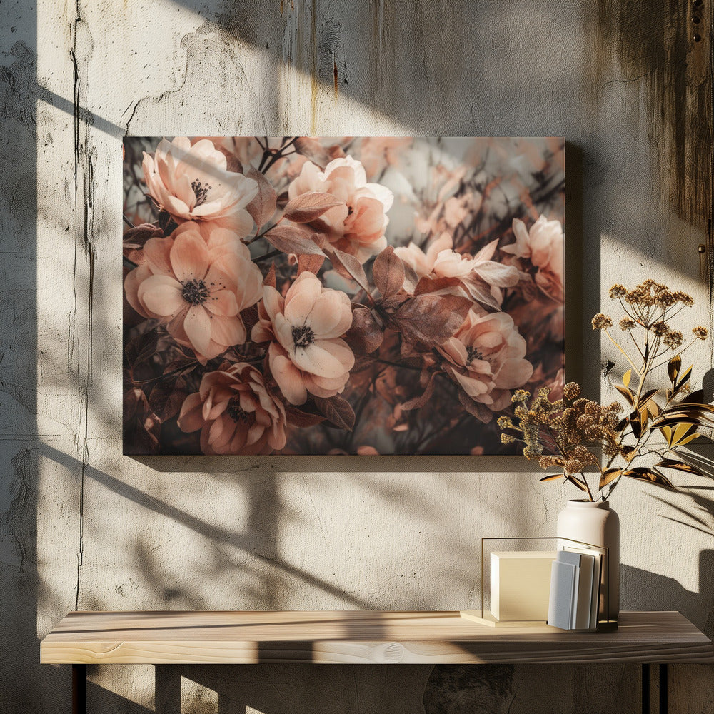 Coral Wild Peony