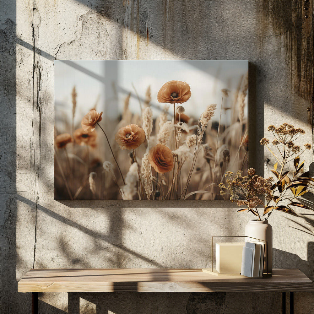 Poppies in Breeze