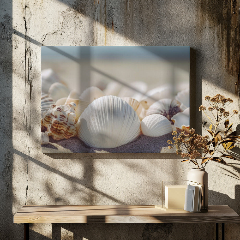 Seaside Shells