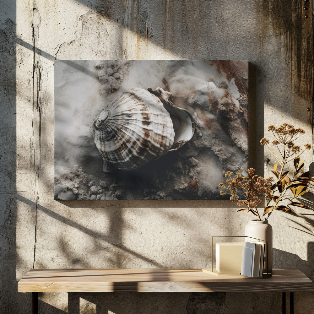 Seashell Serenity