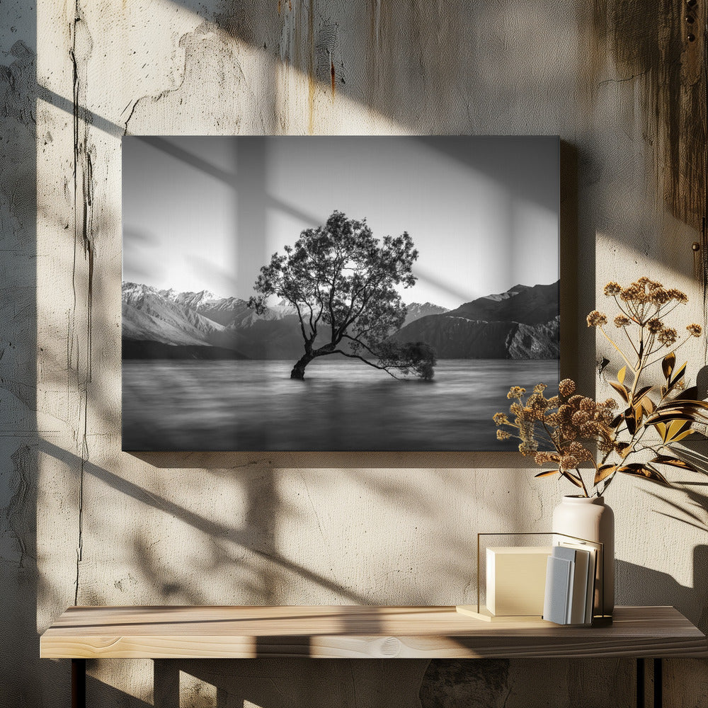 wanaka tree
