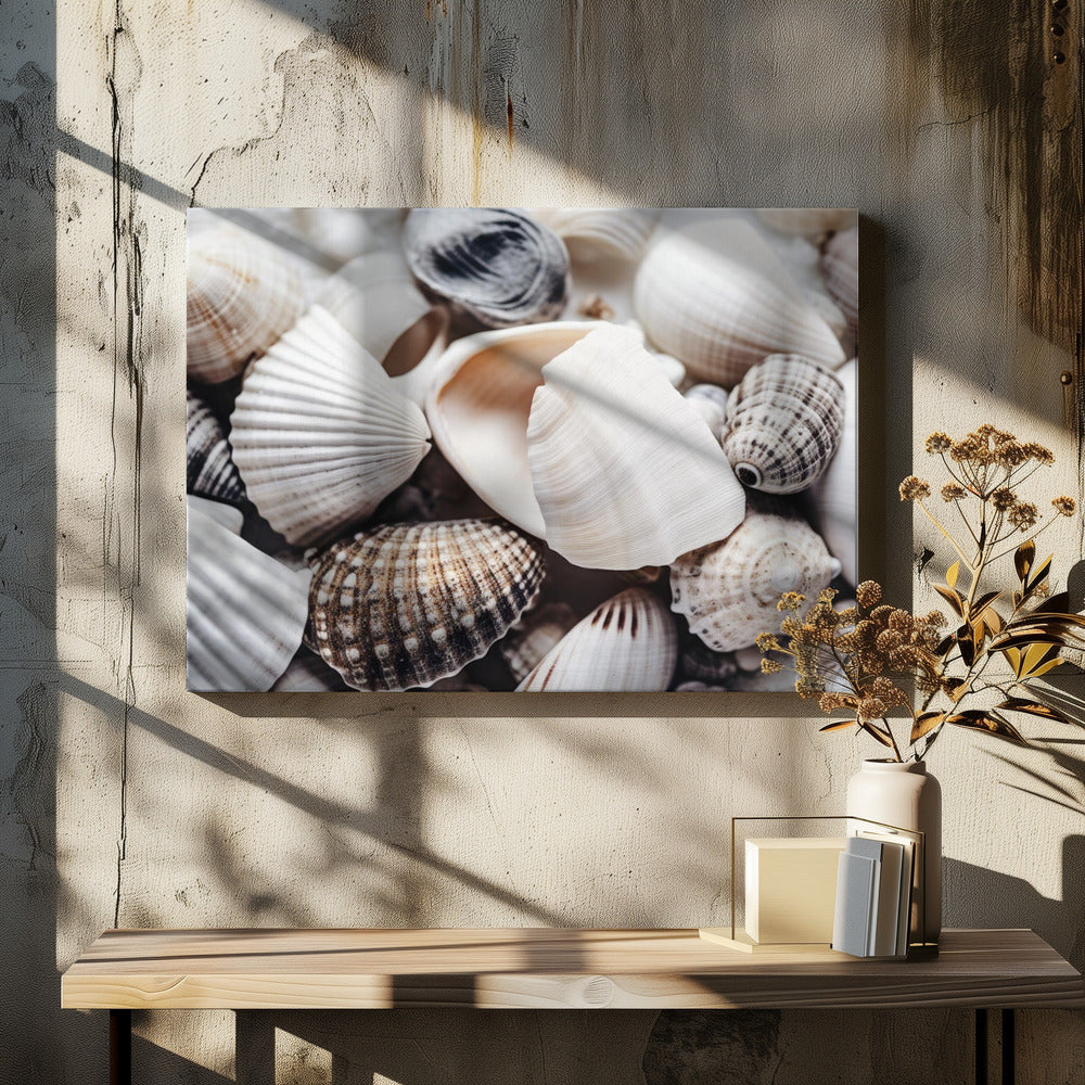 Seashell Symphony