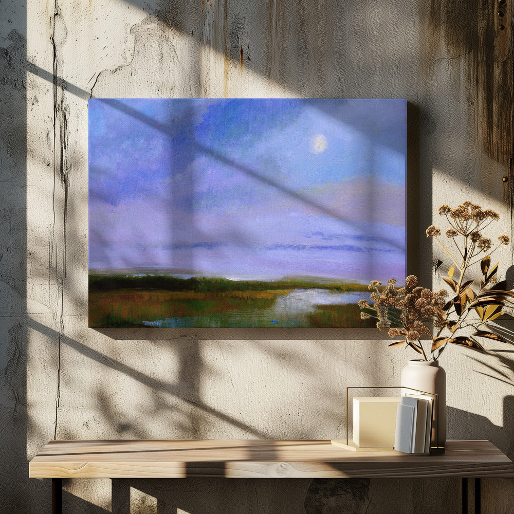 Moonscape Reflections