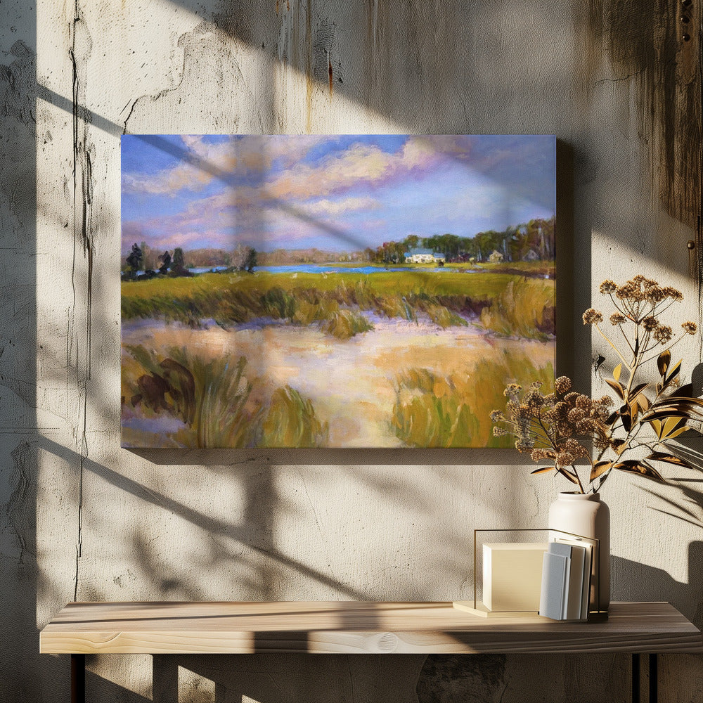 Serene Marshland View