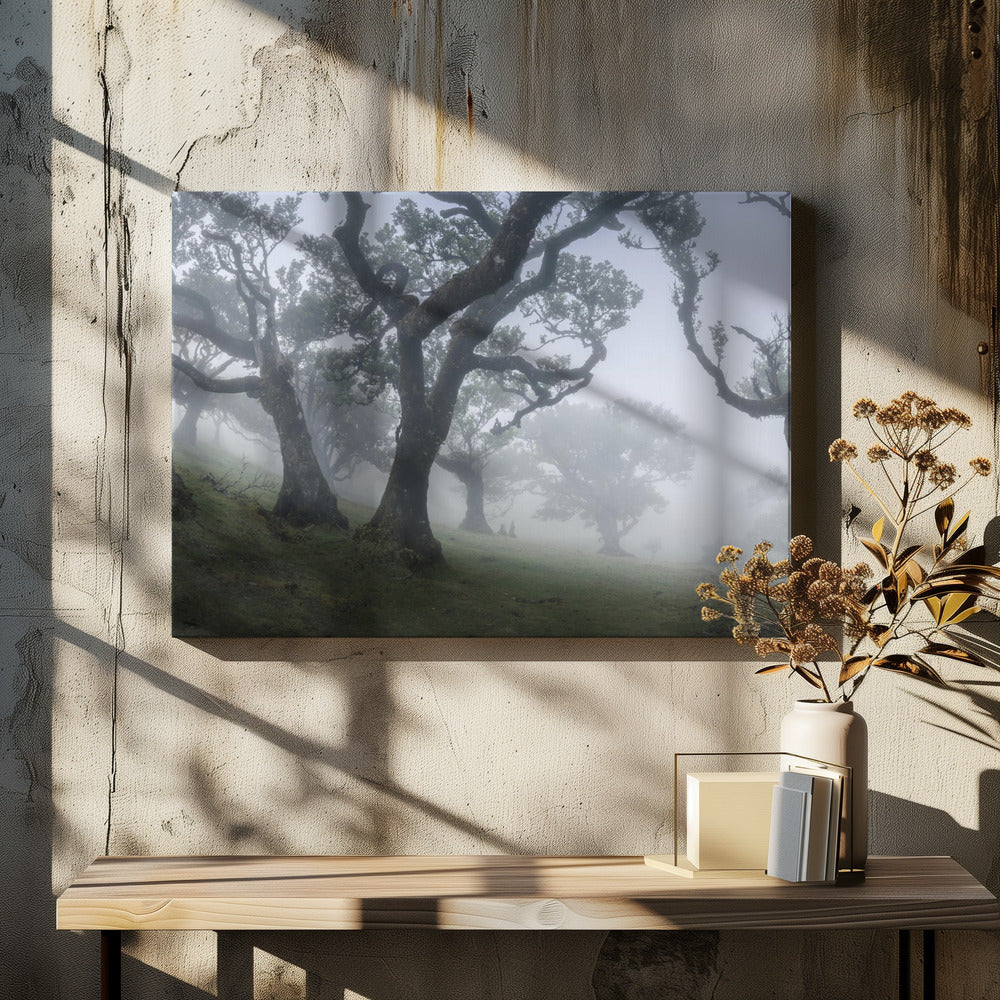 Morning mist