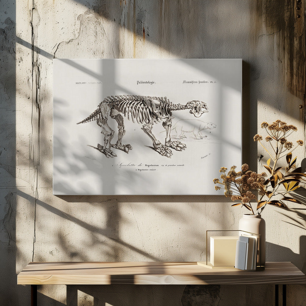 Megatherium