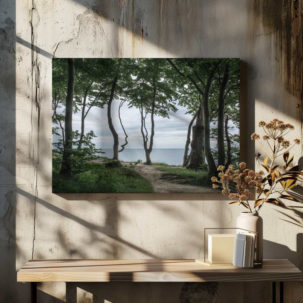 Forest At the Sea 2