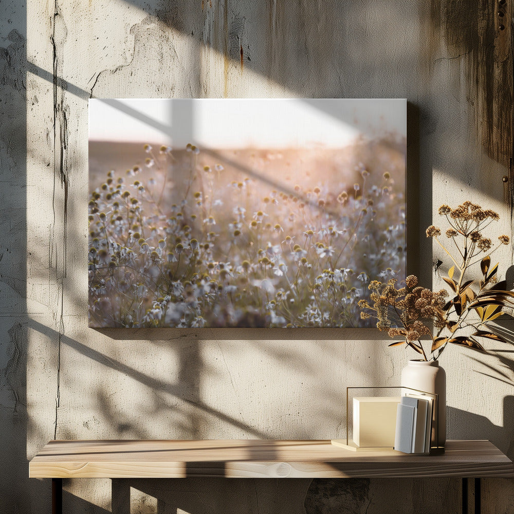 Summer Morning 7