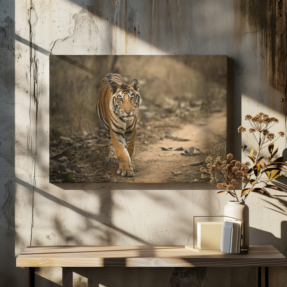 Tiger Cub