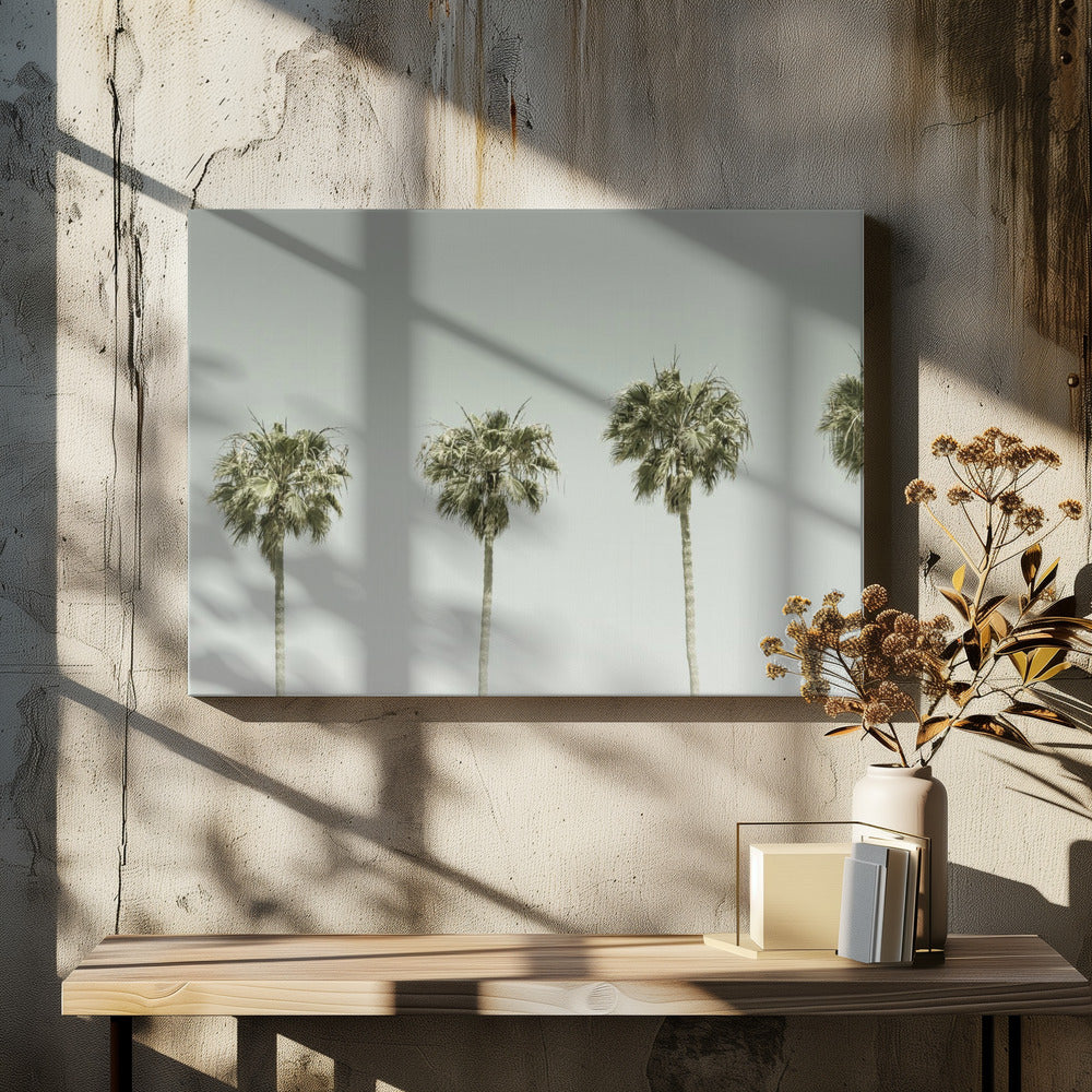 Panoramic Vintage Palm Trees
