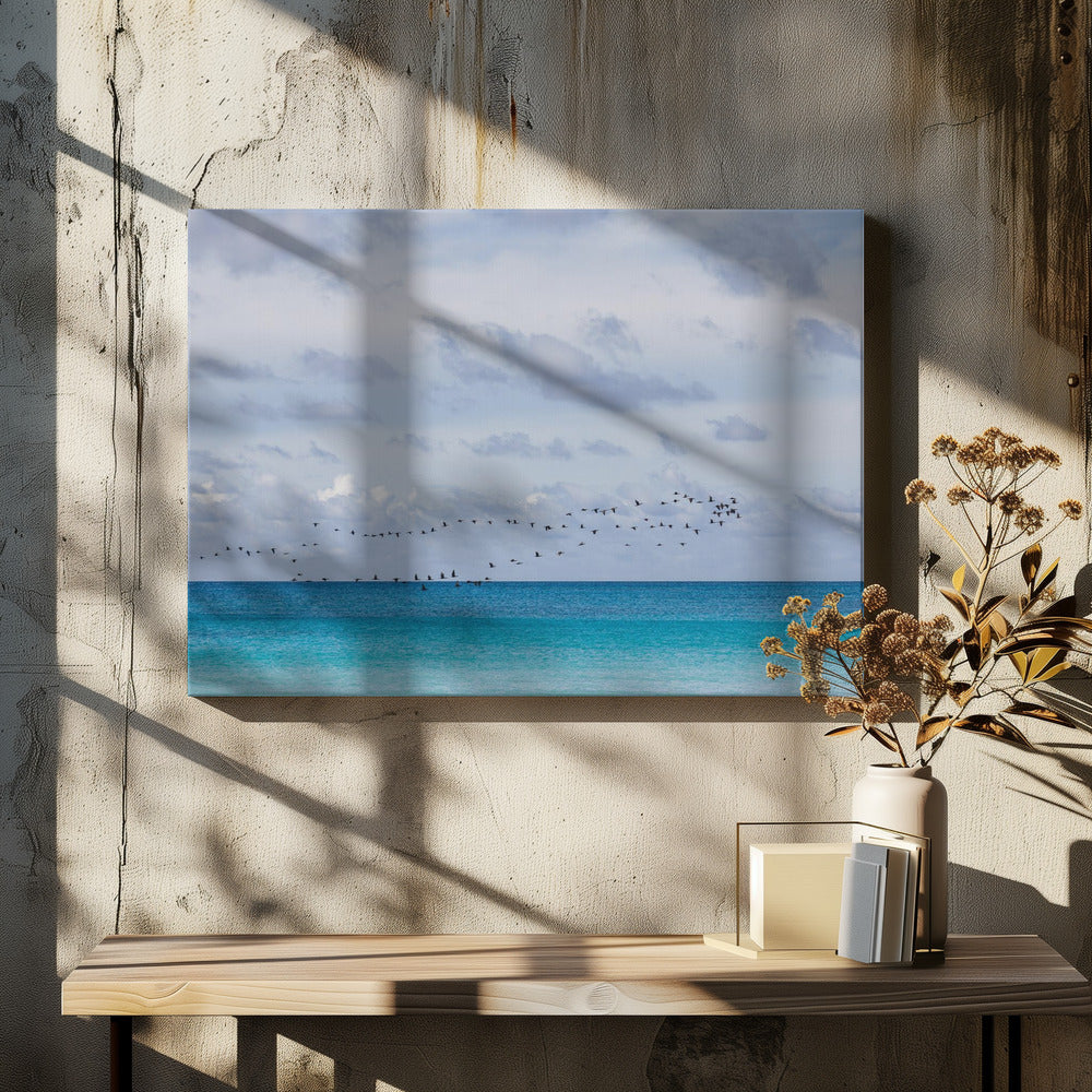 Birds at the sea