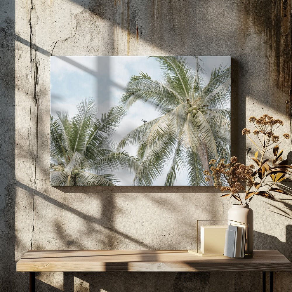 Palm tree with bird