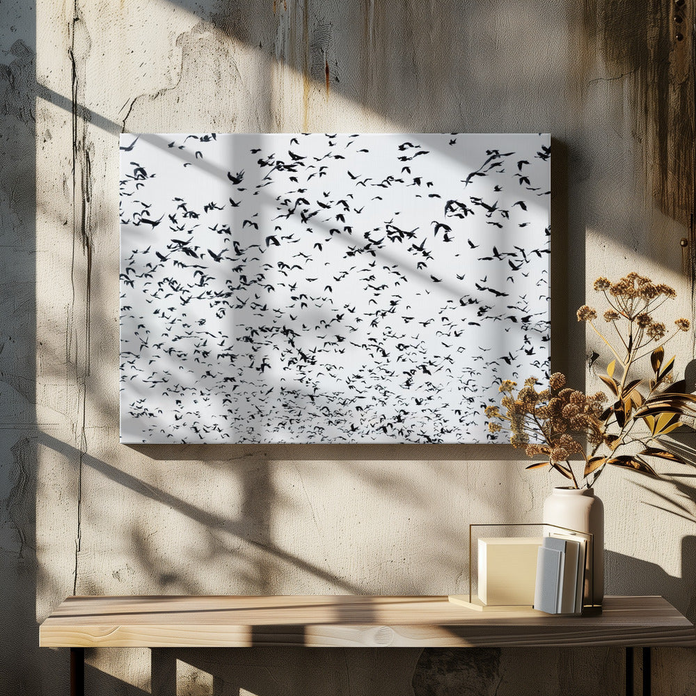 Birds in the sky