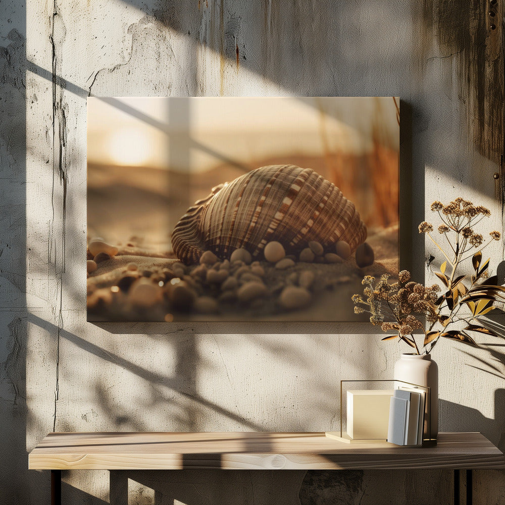 Seashell Serenity