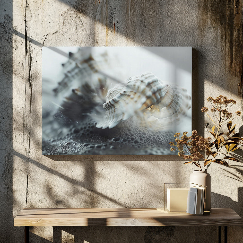 Seashell Serenity
