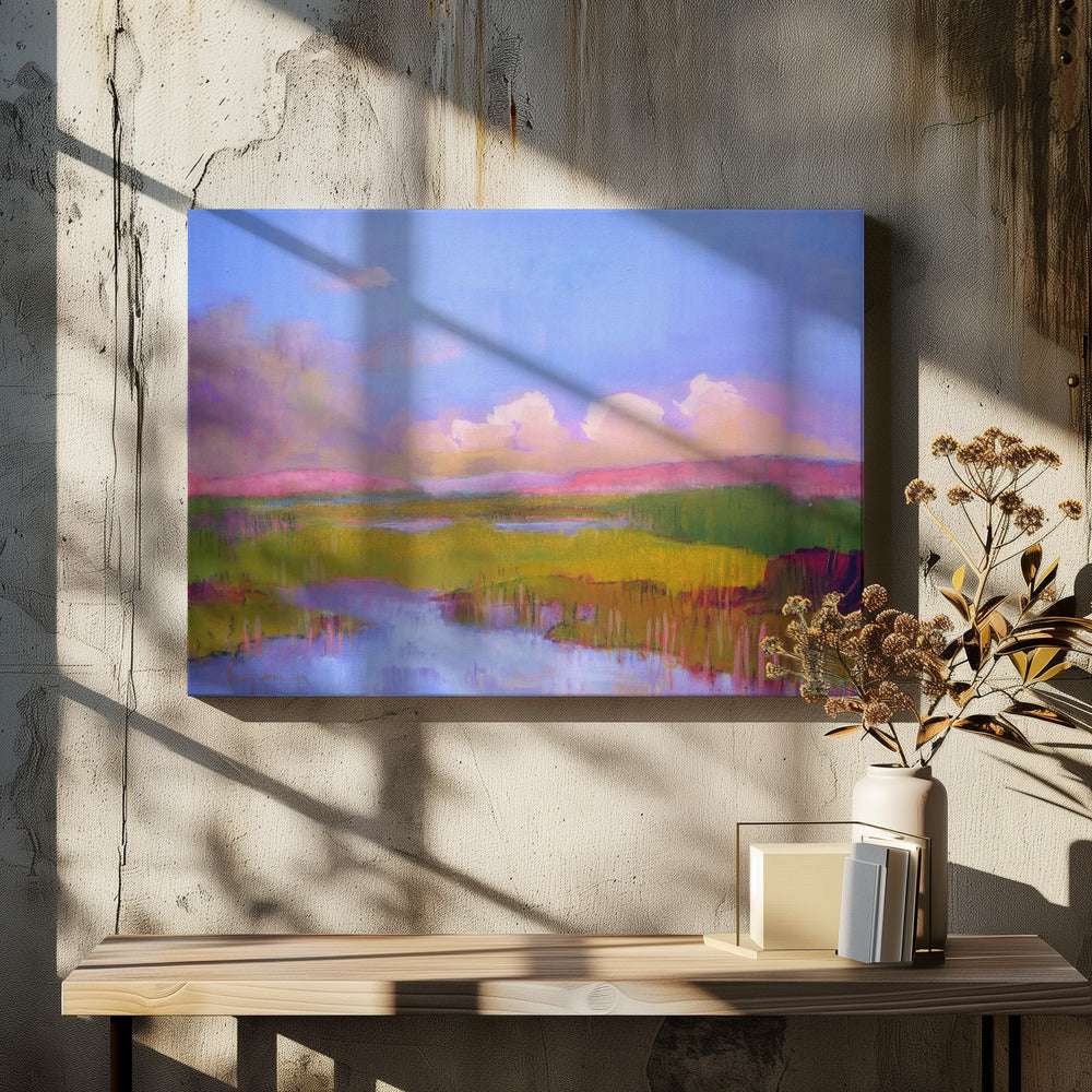Dreamy Wetlands