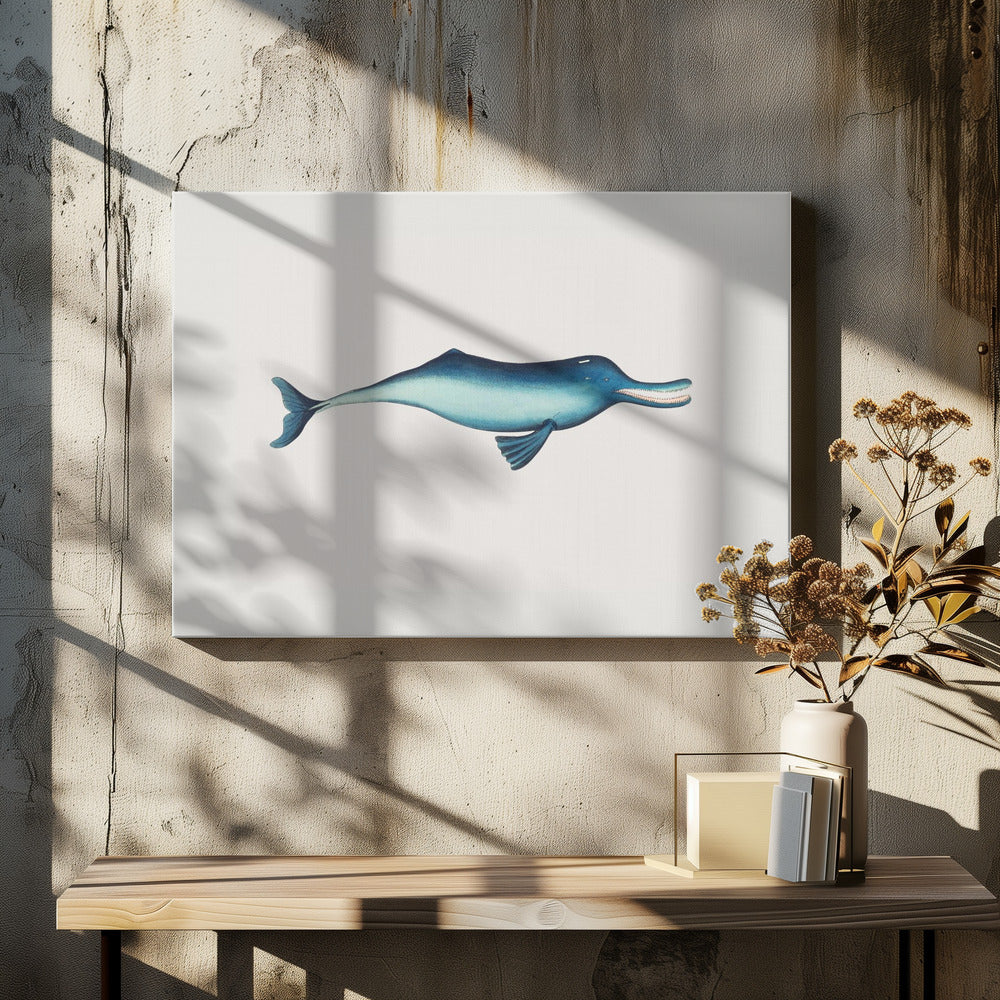Gangetic Dolphin