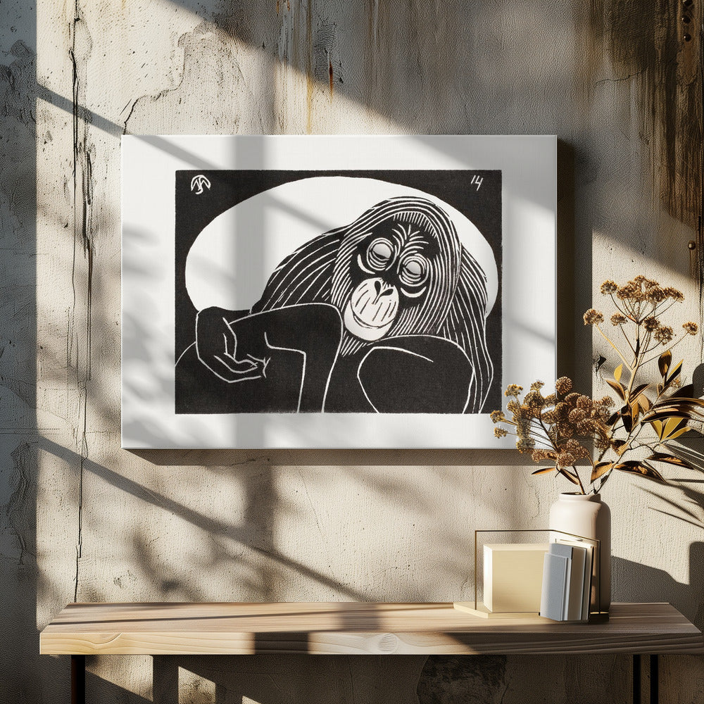 Orangutan