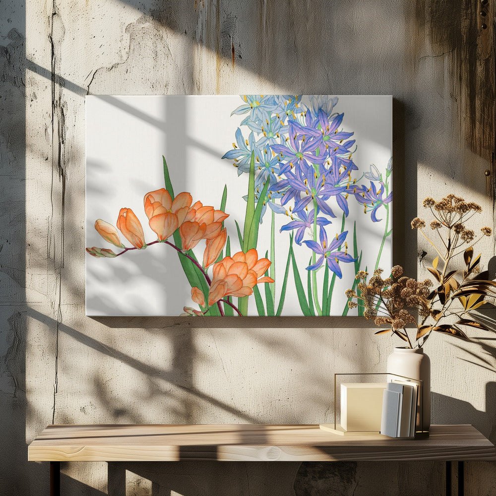 Freesia Flower No.2