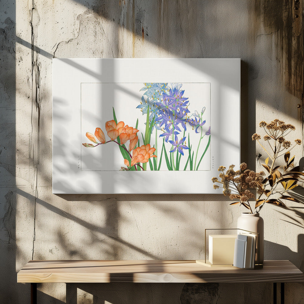Freesia Flower