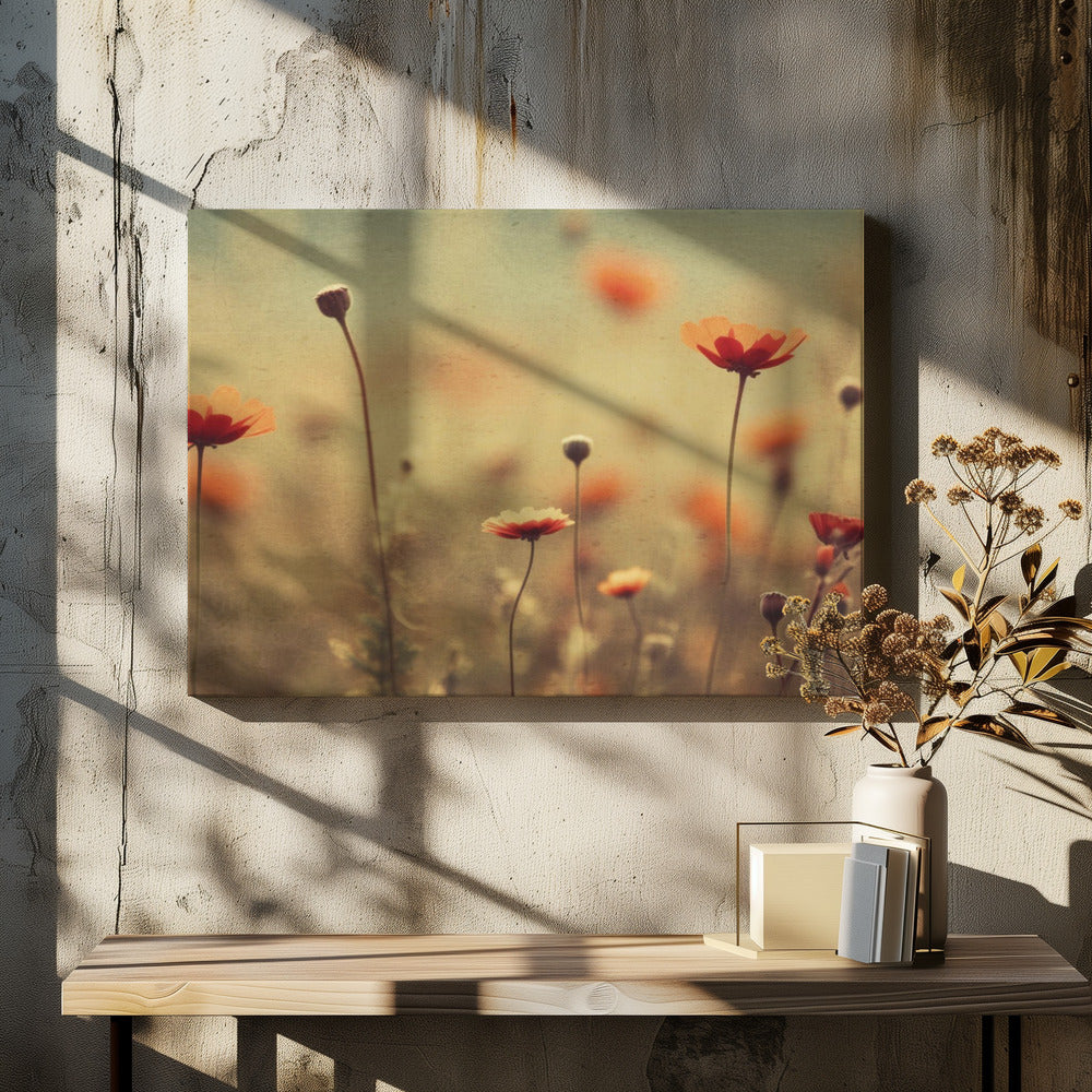 Whispering Poppies
