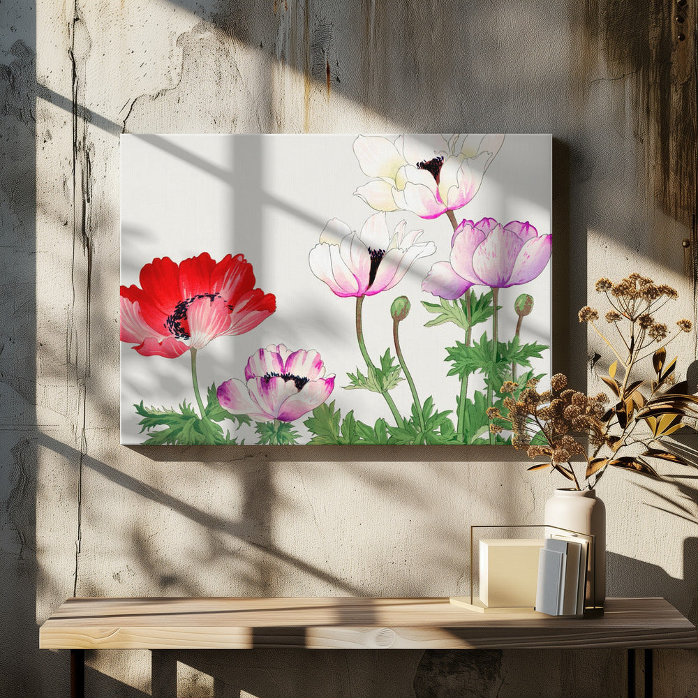Poppy Flower No.2