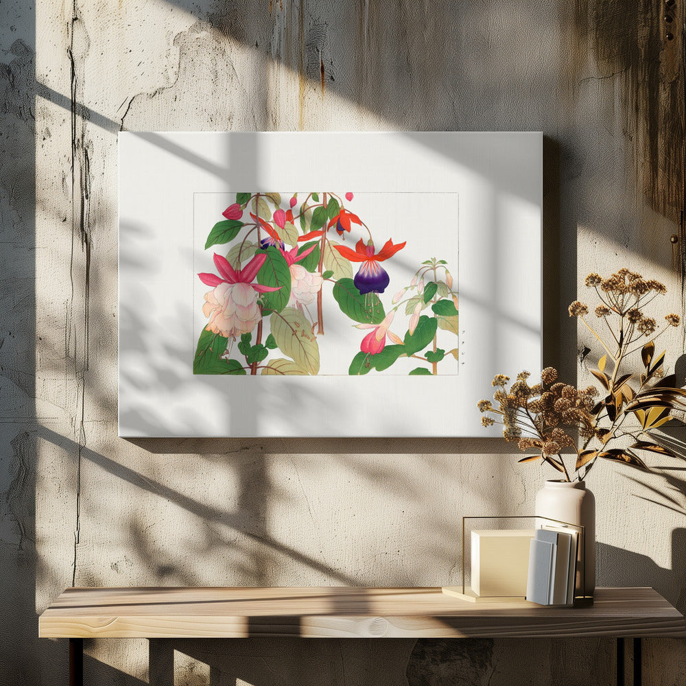 Fuchsia Flower