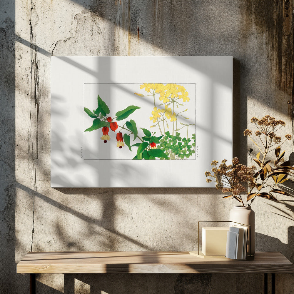 Wood Sorrel
