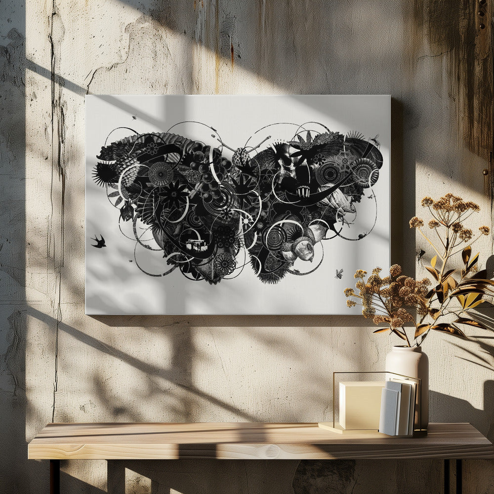 Butterfly 3