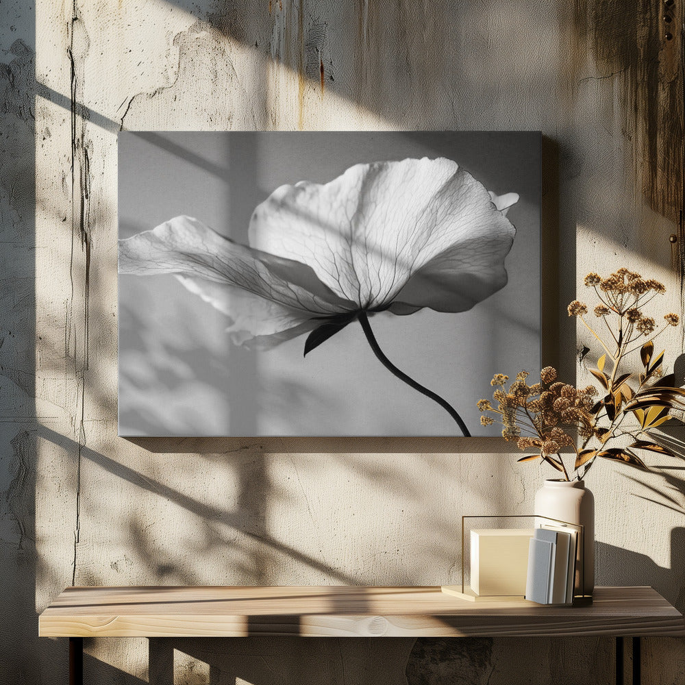 Delicate Petal Dance