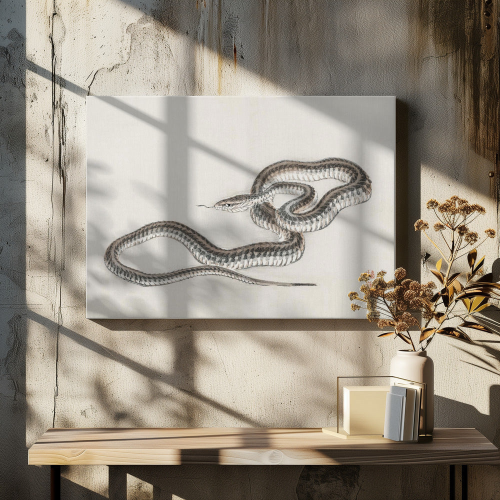 Snake By Kōno Bairei (1844 1895)