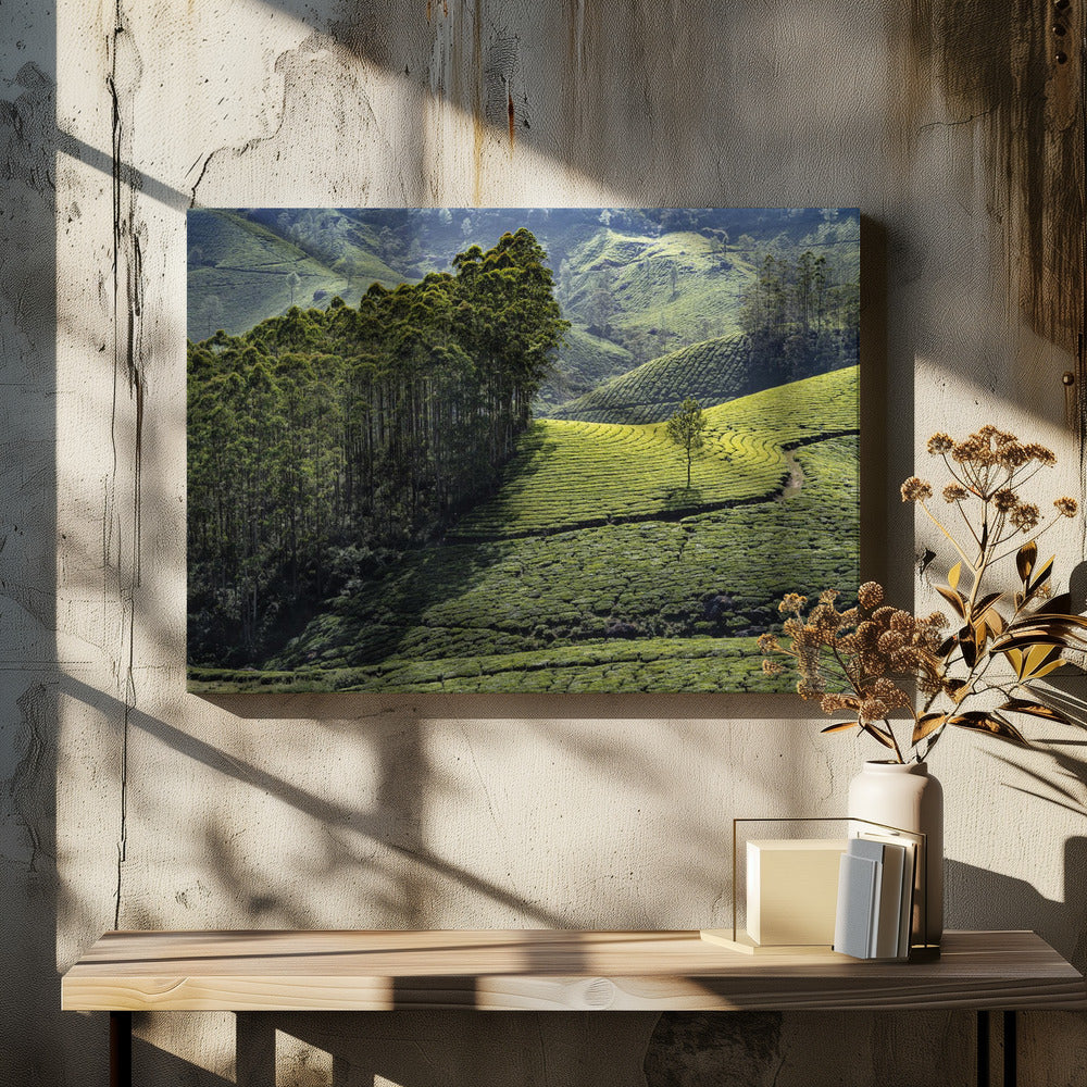 Eucalyptus and tea