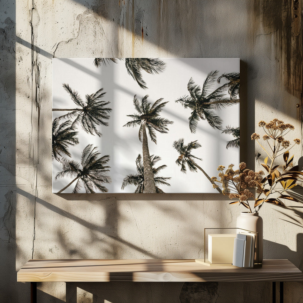 “Palm Skyview”