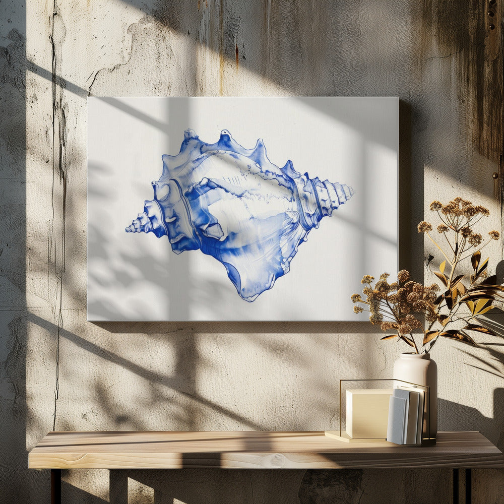 Blue Conch Harmony