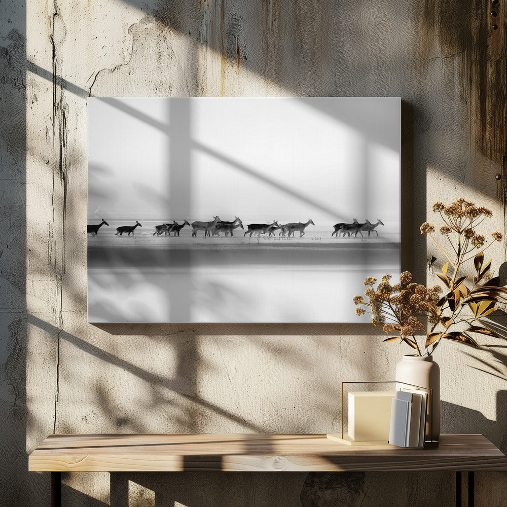 Silent Procession