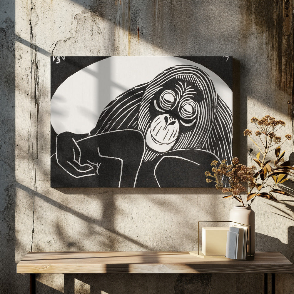Orangutan