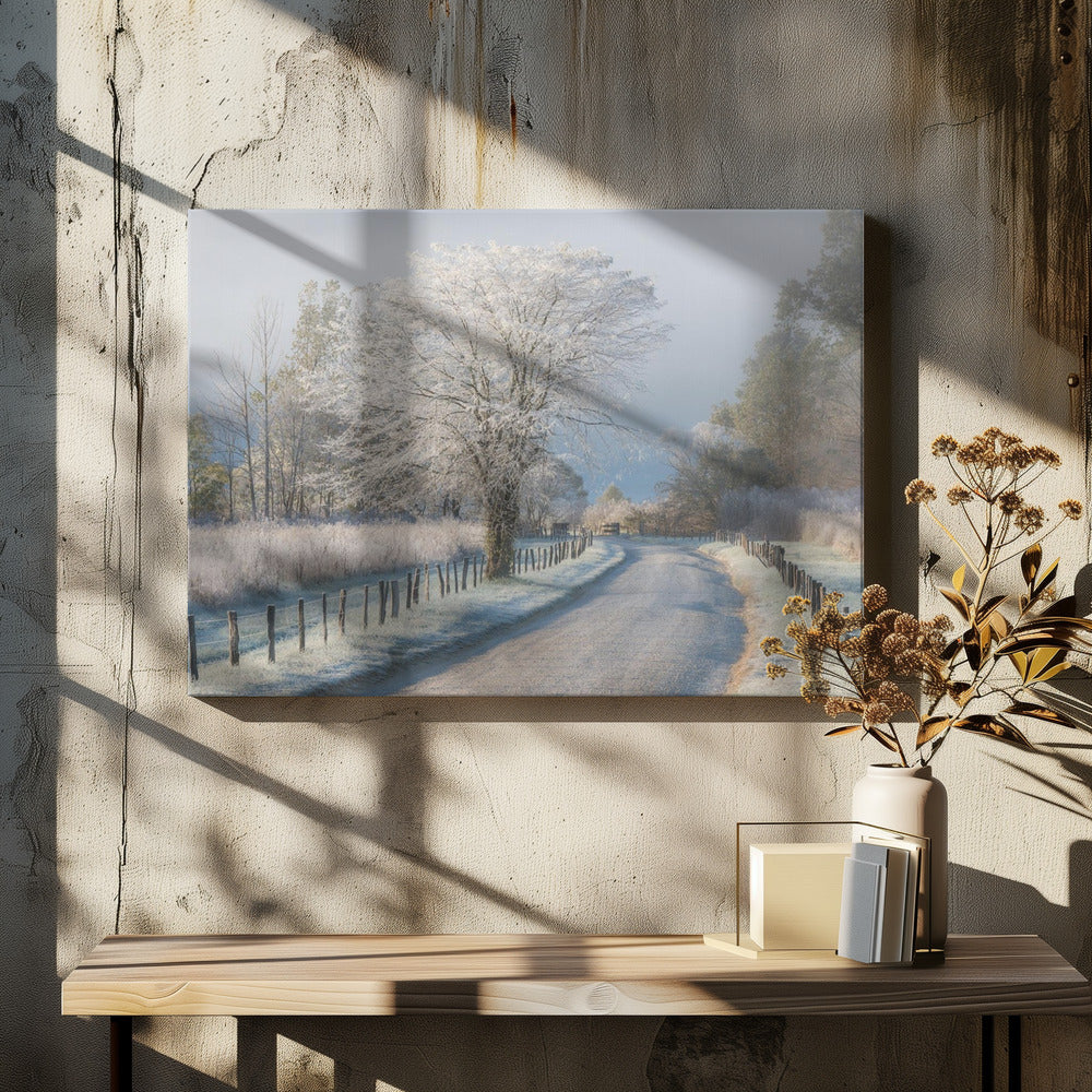 A Frosty Morning