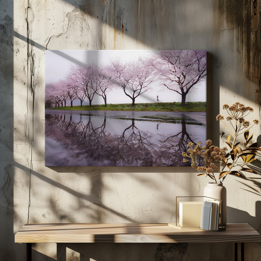 Rain of spring