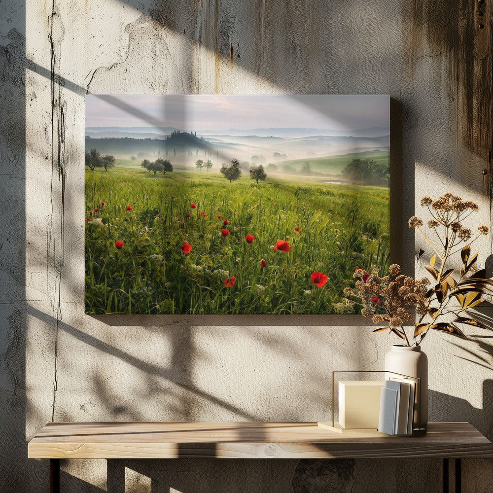 Tuscan spring