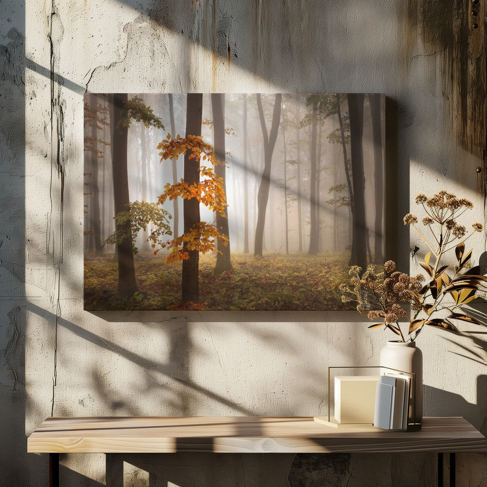 In November Light