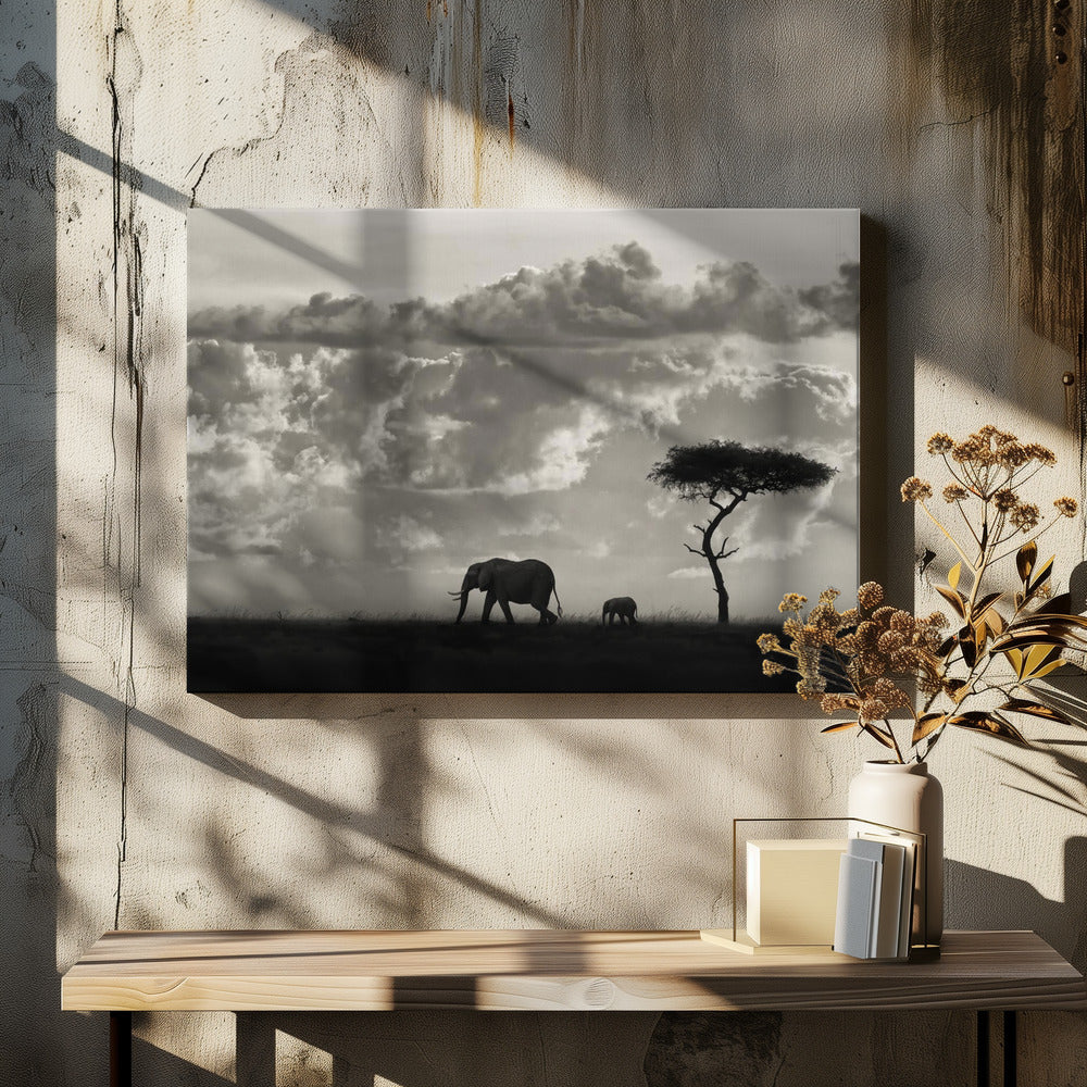 Silhouettes of Mara
