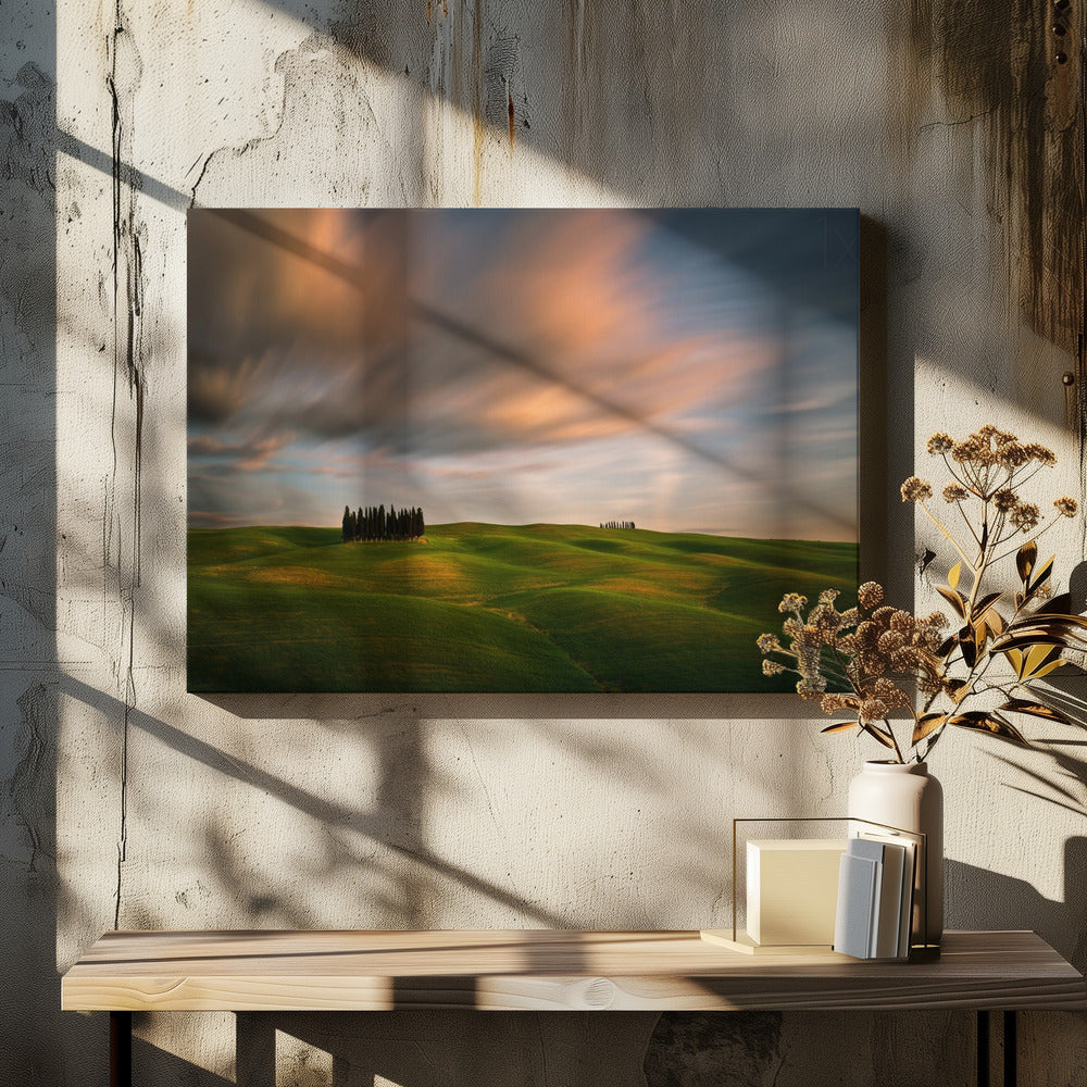 Fields...