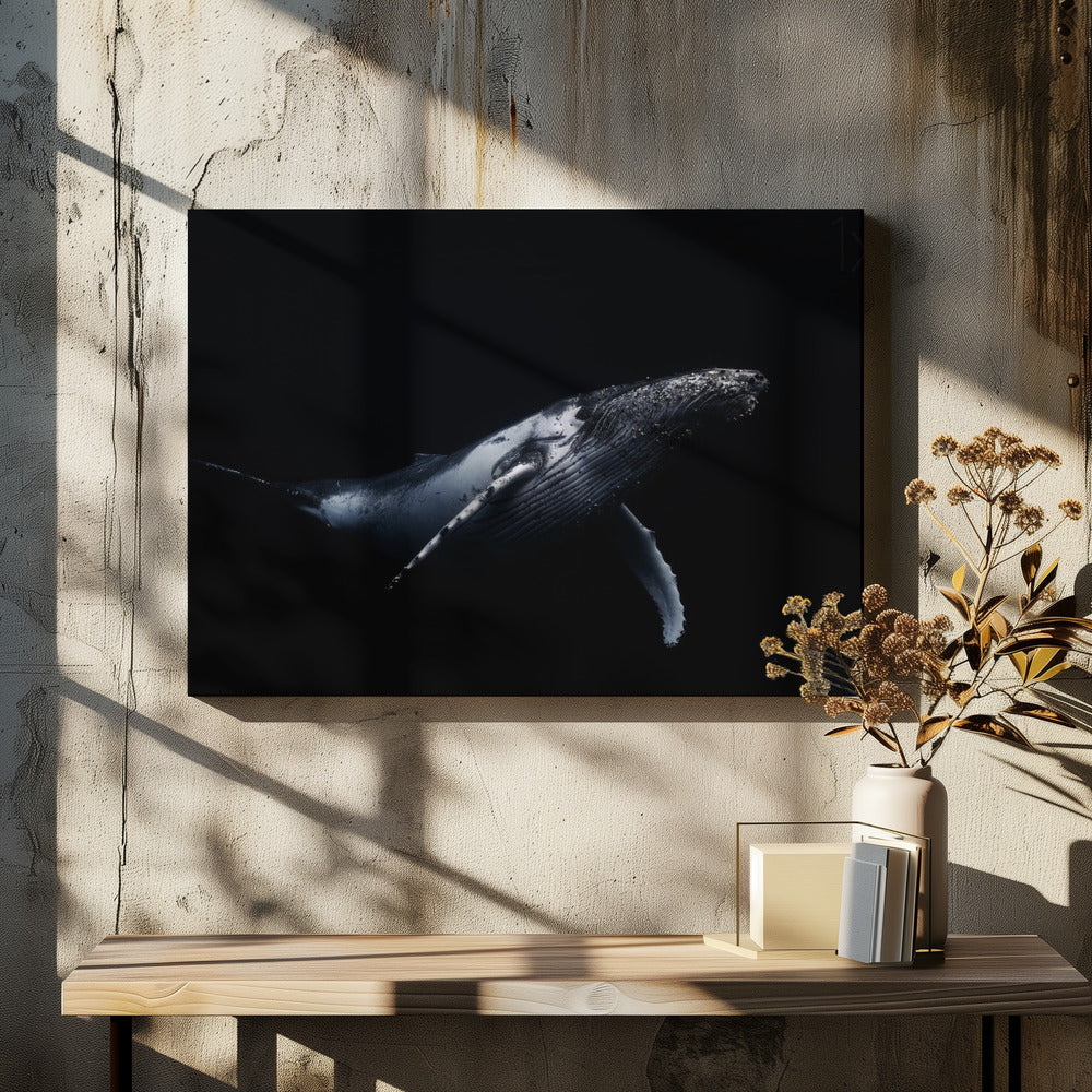 Black & Whale