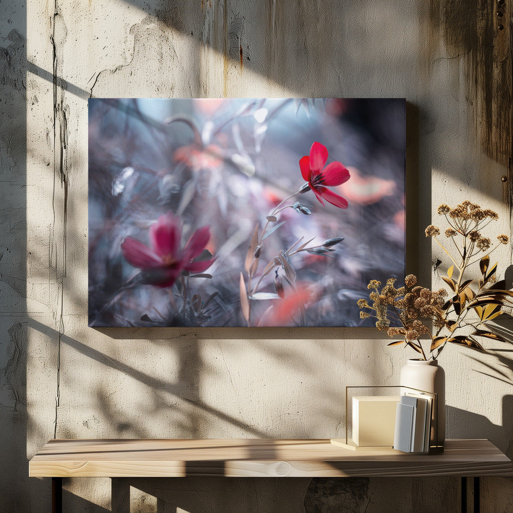 Une Fleur, une Histoire