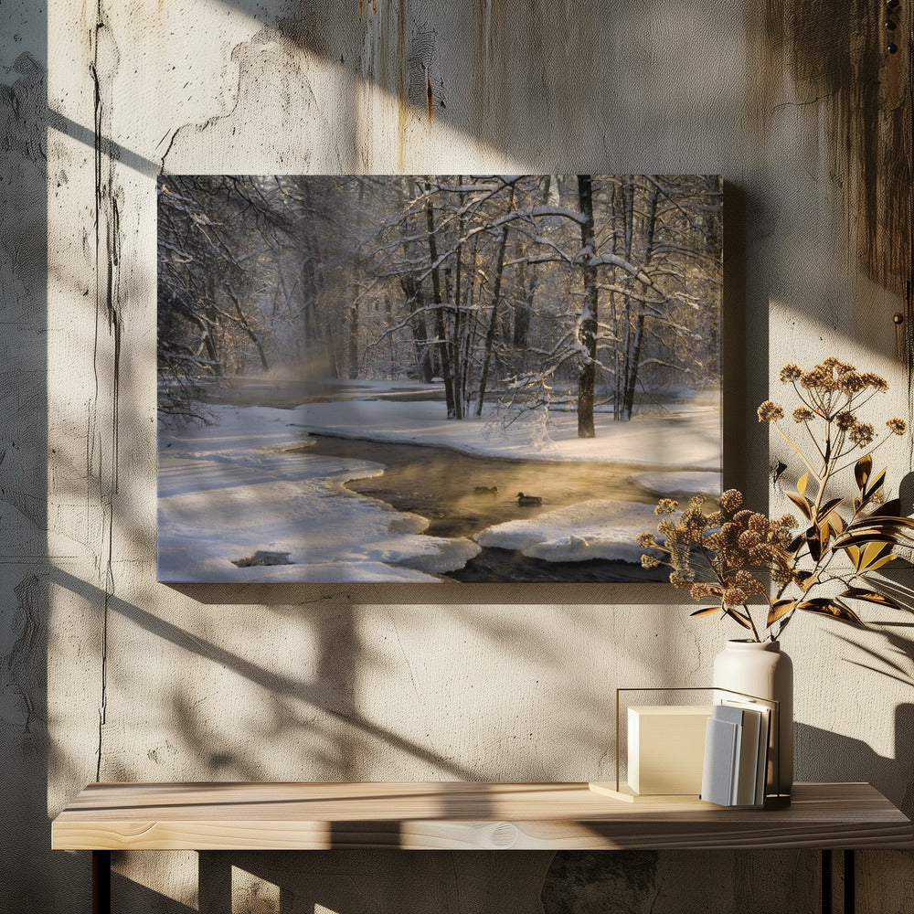 The first light