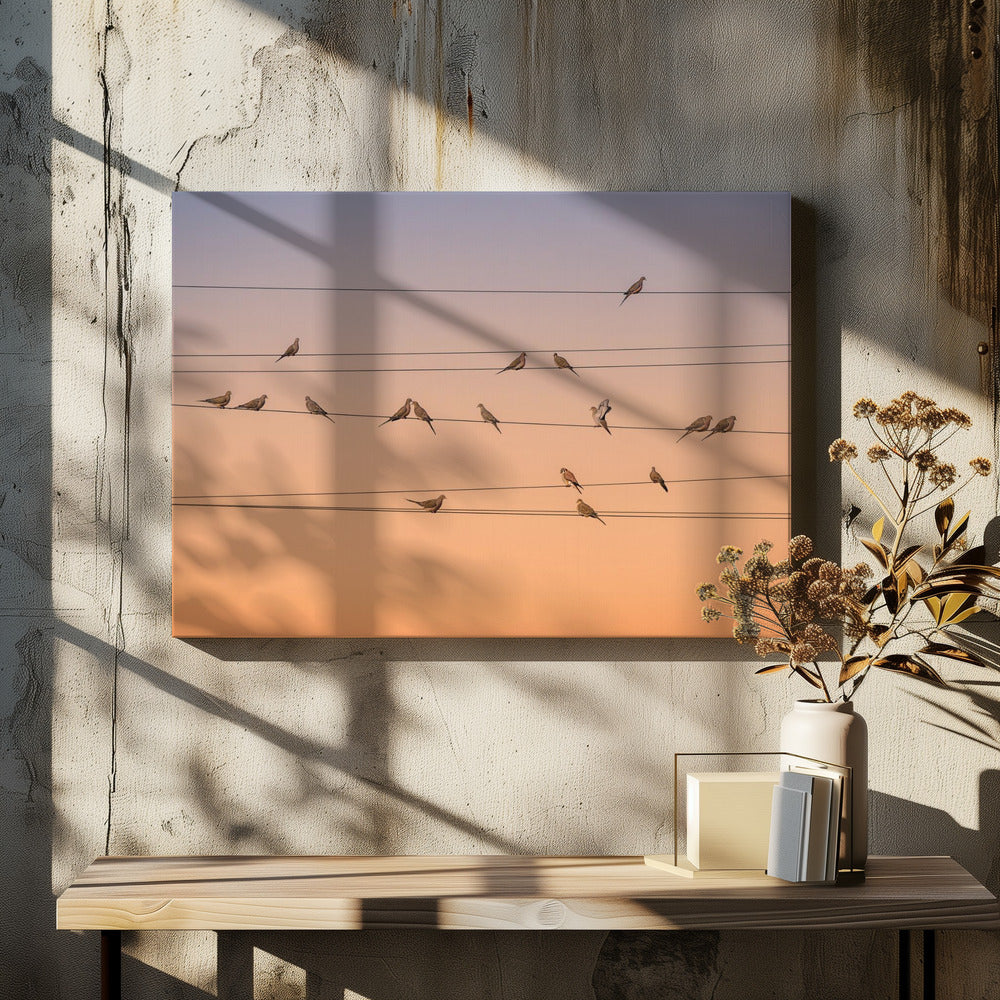 Music of Light