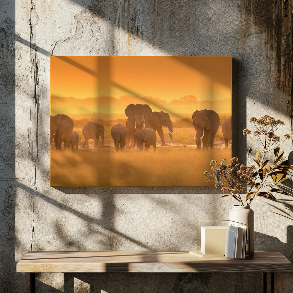 Golden Light