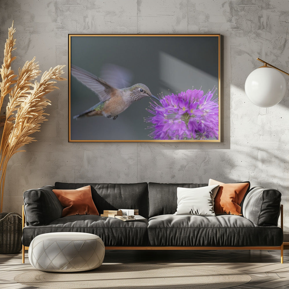 Art Prints of rufous hummingbird