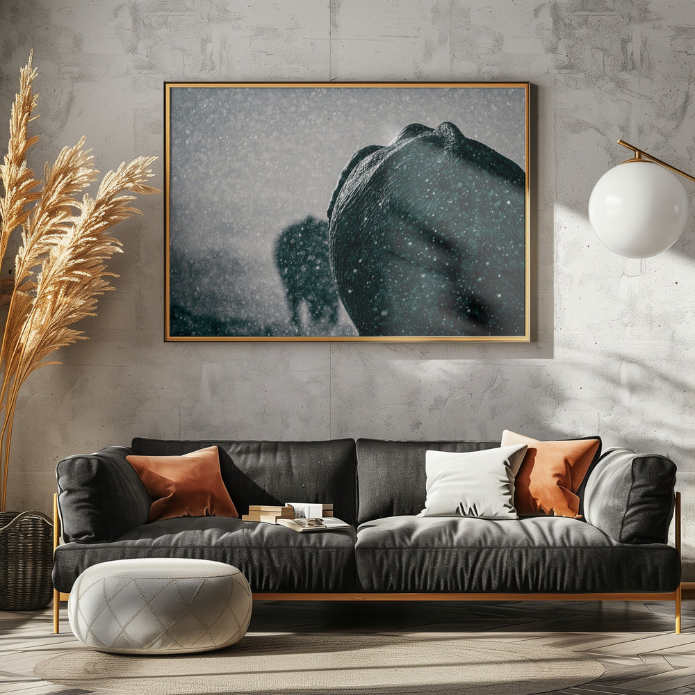 Art Prints of Rainy season